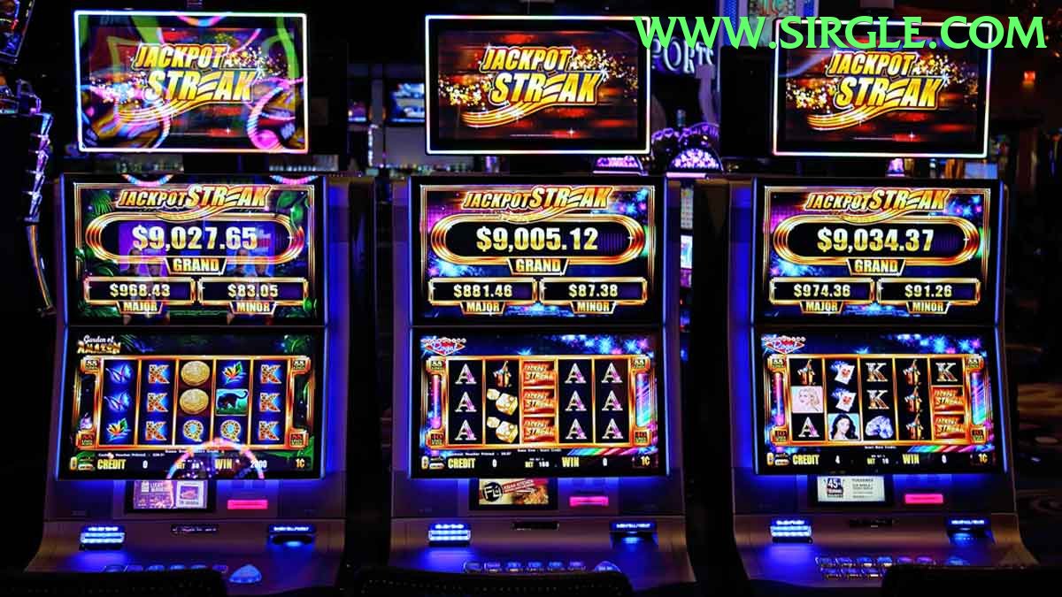 Dragon Tiger Club Pakistan